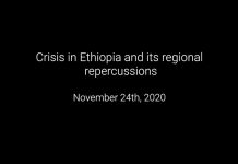 Crisis in Ethiopia and its Regional Repercussions, 24 November 2020