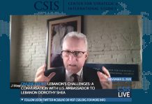 Lebanon’s Challenges: A Conversation with U.S. Ambassador to Lebanon Dorothy Shea, 19 November 2020