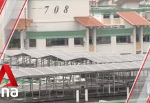 Singapore to Speed up Deployment of Solar Energy over Next Five Years, 26 October2020