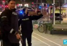 Austrian Police Arrests 14 People Linked to Islamist Gunman Who Killed 4, 3 November 2020