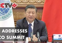 Xi Addresses SCO Summit via Video Link, 11 November 2020