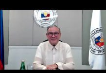 Philippines: Secretary of Foreign Affairs Teodoro Locsin Jr.27 October 2020