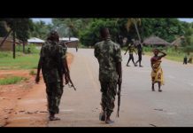 Horrifying Attack in Northern Mozambique Leaves 50 Dead., 10 November 2020