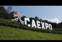 17th China-ASEAN Expo, 28 November 2020