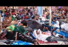 More than One Million Displaced in Ethiopia’s Tigray Region as UN Warns of ‘Critical’ Food Shortages, 26 November 2020