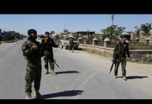 Dozens of Afghan Security Personnel Killed in Suicide Attack, 29 November 2020