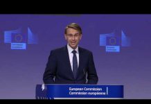 EU Will Reply! Turkey Blocks EU Inspection of Cargo Vessel Travelling to Libya, 27 November 2020