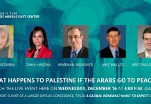 What Happens to Palestine if the Arabs Go to Peaces?