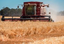 China Tariff on Australian Barley to Cost the Sector $2.5 billion, 17 December 2020