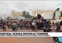 Russia, Rwanda Send Troops after Alleged Central Africa Republic Coup Attempt, 21 December 2020