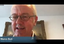 Europe’s Economic Policy Response to the Pandemic, 17 November 2020