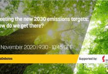 Meeting the New 2030 Emissions Targets: How do We Get there? 17 November 2020