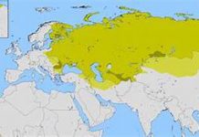 Russia Holding Separate Drills with China, India, 11 August 2021