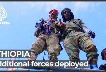 ‘We Are just Defending Our Land’: Q&A with Amhara Leader, 16 July 2021