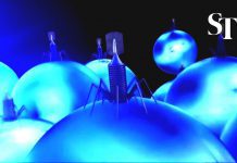 Human Gene Editing: WHO Experts Seek Limits on Experiments, 14 July 2021