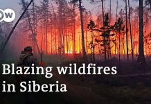 Fire Fighters Battle more than a Hundred Wildfires across Russia’s Siberia , 20 July 2021