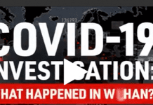 Media Silent on Bombshell Wuhan Lab Report as GOP Lawmaker Sounds Alarm: ‘Greatest cover-up in human history’, 3 August 2021