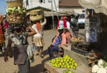 Power Relationships within Food Systems, 1 August 20231