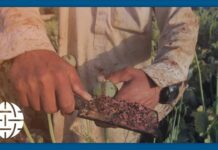 Will Russia and China Spoil US Sanctions against the Taliban? 24 August 2021