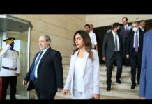 Syria Agrees to Transit Gas and Electricity to Crisis-Hit Lebanon, 5 September 2021