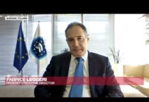 EU’s Frontex Chief on Afghan Crisis: ‘Border Management Is also about Security’ , 3 September 2021