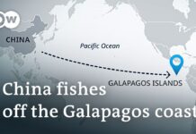 Large Fleet of Chinese Fishing Vessels Encroaches on South American Waters at Galapagos Islands, 30 September 2021