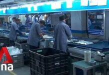 India, Taiwan Ramp up Trade Talks on Chip Plant, 27 September 2021