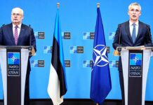 NATO Secretary General with the President of Estonia Alar Karis, 13 January 2022