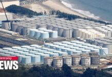 Robot Photos at Fukushima Plant Appear to Show Melted Nuclear Fuel, 11 February 2022