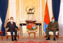 Chinese FM Wang Yi Meets with Eritrea’s President Isaias Afwerki, 5 January 2021