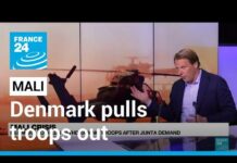 Denmark Pulls Mali Troops out as Junta Takes Swipe at France, 27 January 2022