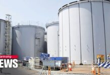 IAEA Experts to Visit Fukushima Power Plant Next Week for Series of Tests, 7 February 2022