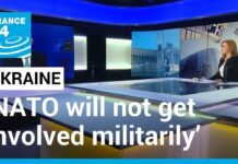 ‘NATO Will not Get Involved Militarily in Ukraine’, Says Alliance’s Deputy Chief, 4 February 2022