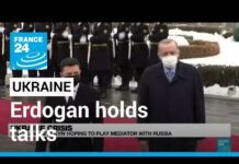 Erdogan Visits Ukraine: «He Hopes to Play Mediator with Russia», 3 February 2022