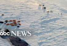 US, Russia Vie for Superiority in Arctic Circle, 15 March 2022