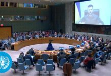 Ukraine – Security Council, 9011th Meeting 5 April 2022
