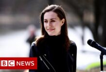 What Would It Mean If Finland and Sweden Join NATO? 28 April 2022