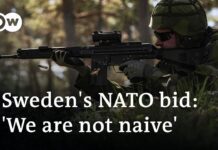 Swedish Defence Minister Peter Hultqvist on His Country’s Decision to Join NATO, 1 June 2022