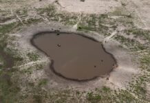 The Next Great Wave: Human Migration and Climate Change, 15 June 2022