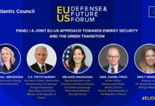 A Joint EU-US Approach Towards Energy Security and the Green Transition