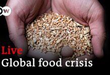 How to Avert a Global Food Crisis? | World Economic Forum 2022, 23 May 2022