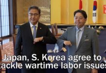 Japan, S Korea Agree to Tackle Wartime Labor Issues, 19 July 2022