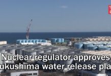 Nuclear Regulator Approves Fukushima Water Release Plan, 22 July 2022