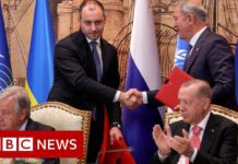 Ukraine and Russia Sign ‘Vital’ Grain Deal, 22 July 2022
