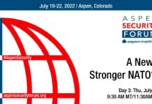 A New, Stronger NATO?