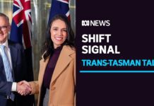 Albanese Signals He May Soften Deportation Policy after Meeting Jacinda Ardern, 10 June 2022