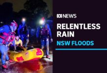 Natural Disaster Declared in NSW as Flooding Continues to Ravage Sydney, 5 July 2022