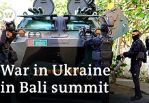 Has the War in Ukraine Affected Indonesia and Southeast Asia? 8 July 2022