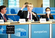NATO Secretary General at Joint Committee Meeting at the European Parliament, 13 July 2022