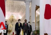 Japan PM Kishida Kicks off Five-nation Tour with Meeting with Indonesian President Jokowi, 29 April 2022